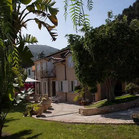 Maison Dino